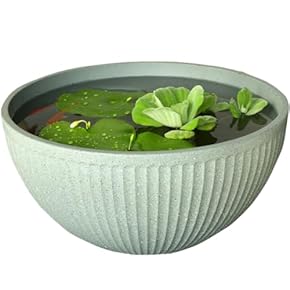 未使用品　津軽びいどろ　水鉢(大)✖️1点　金魚　メダカ 楽天市場】送料無料【 津軽びいどろ 金魚鉢 】インテリア ギフト